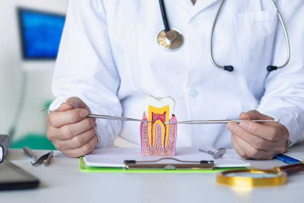 Fast & Reliable Emergency Dental Services in ME